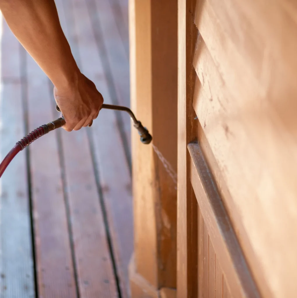 Trusted Pest Control - Centereach Pest Control Pros | Centereach, NY
